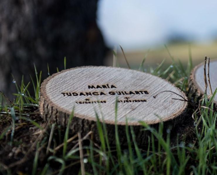 Lápida hecha de tronco natural 