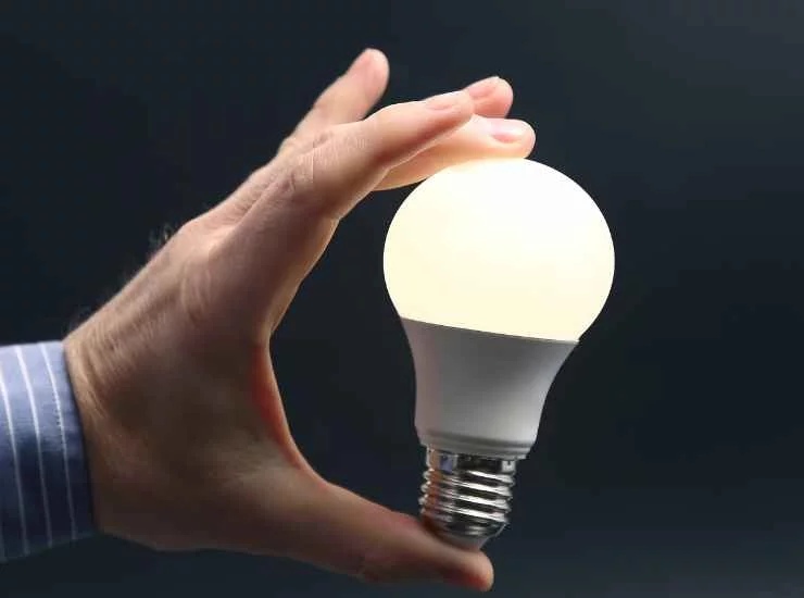 bombillas LED