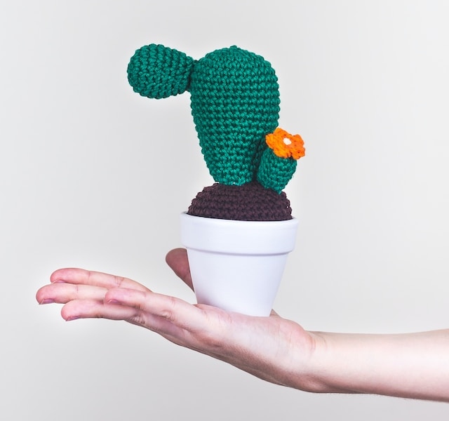 Cactus de crochet - Unsplash