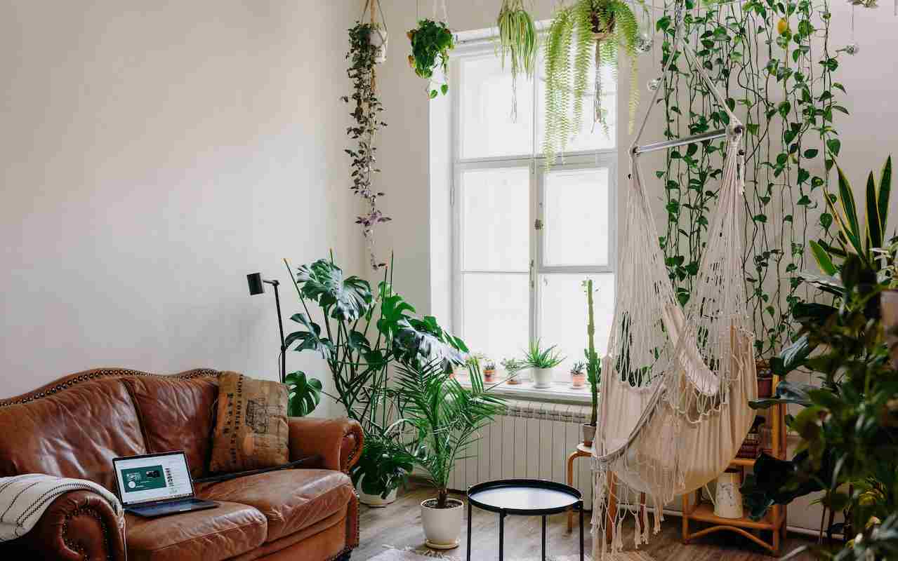Salón con plantas - Pexels